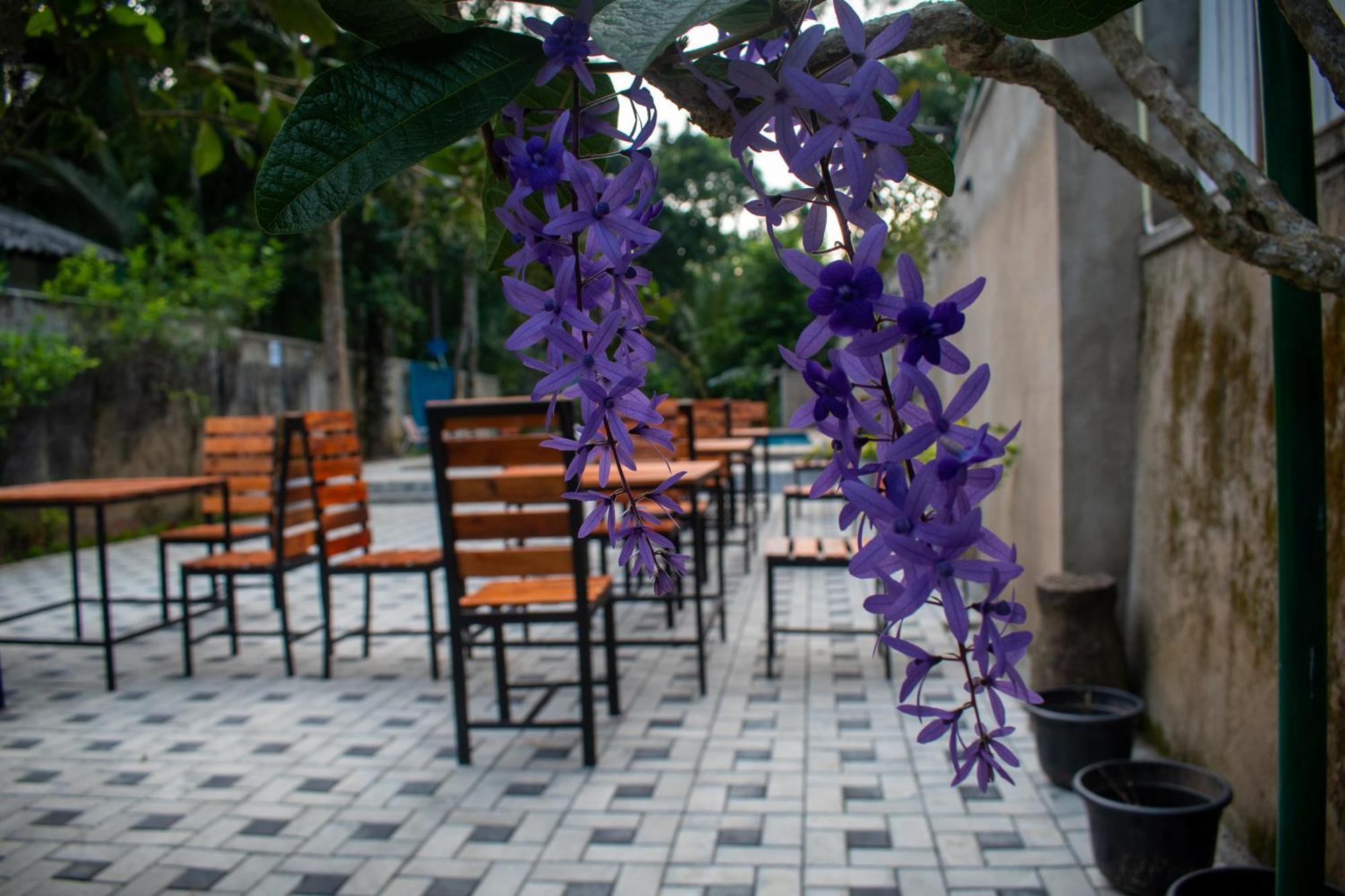 Villa Tranquil Kandy 페라데니야 외부 사진
