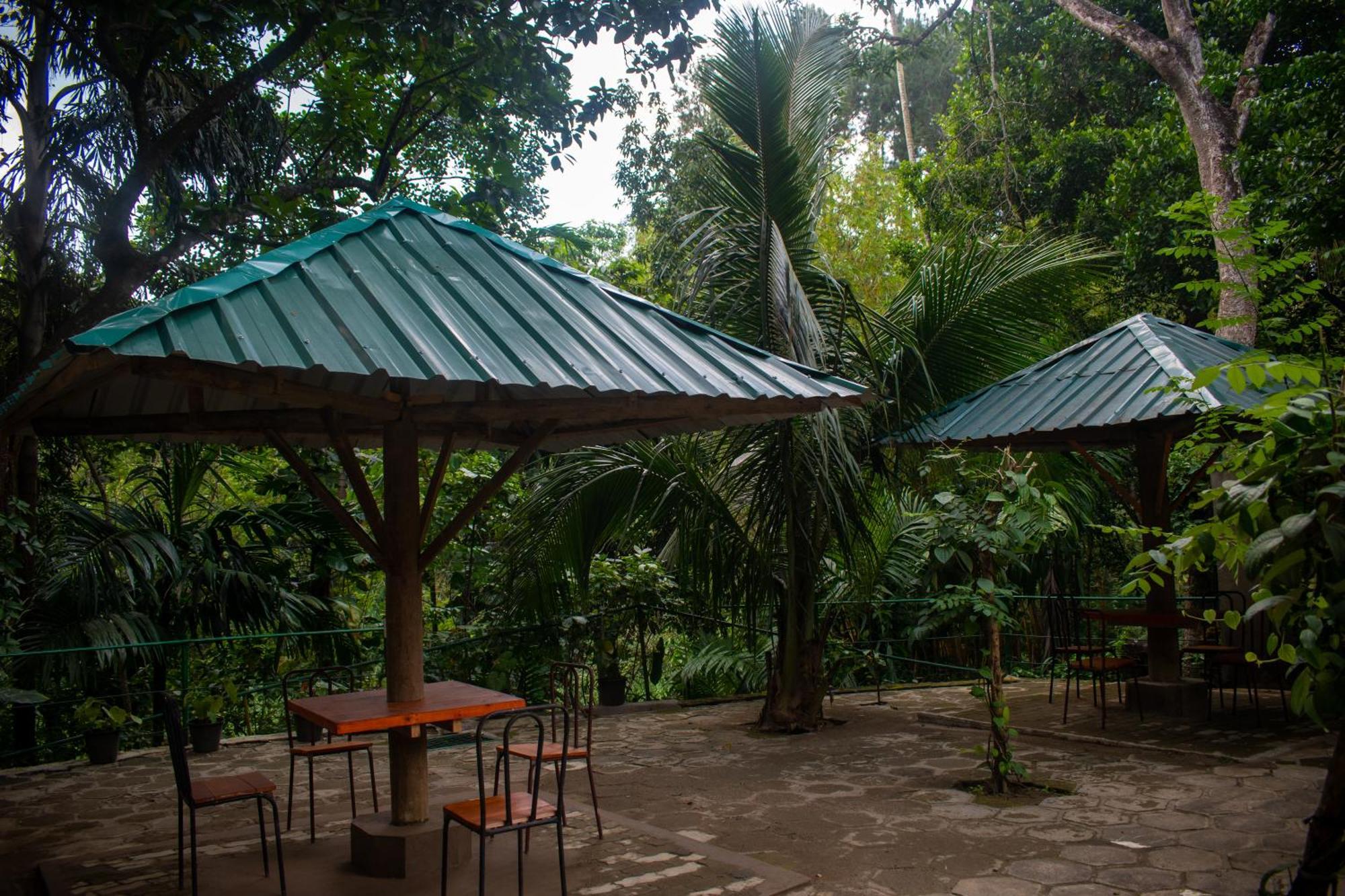 Villa Tranquil Kandy 페라데니야 외부 사진